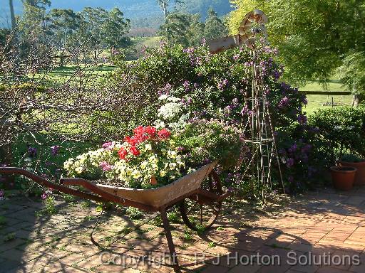 Wheel Barrow - flowers 